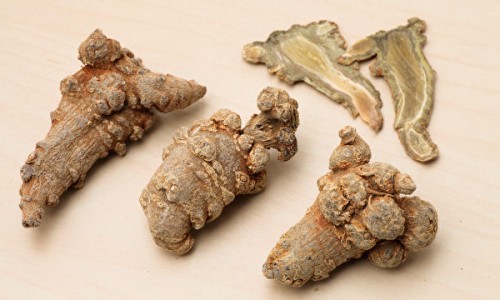 珍珠参原植物-珍珠参的作用与功效网-分享珍珠参的营养，珍珠参的吃法知识库